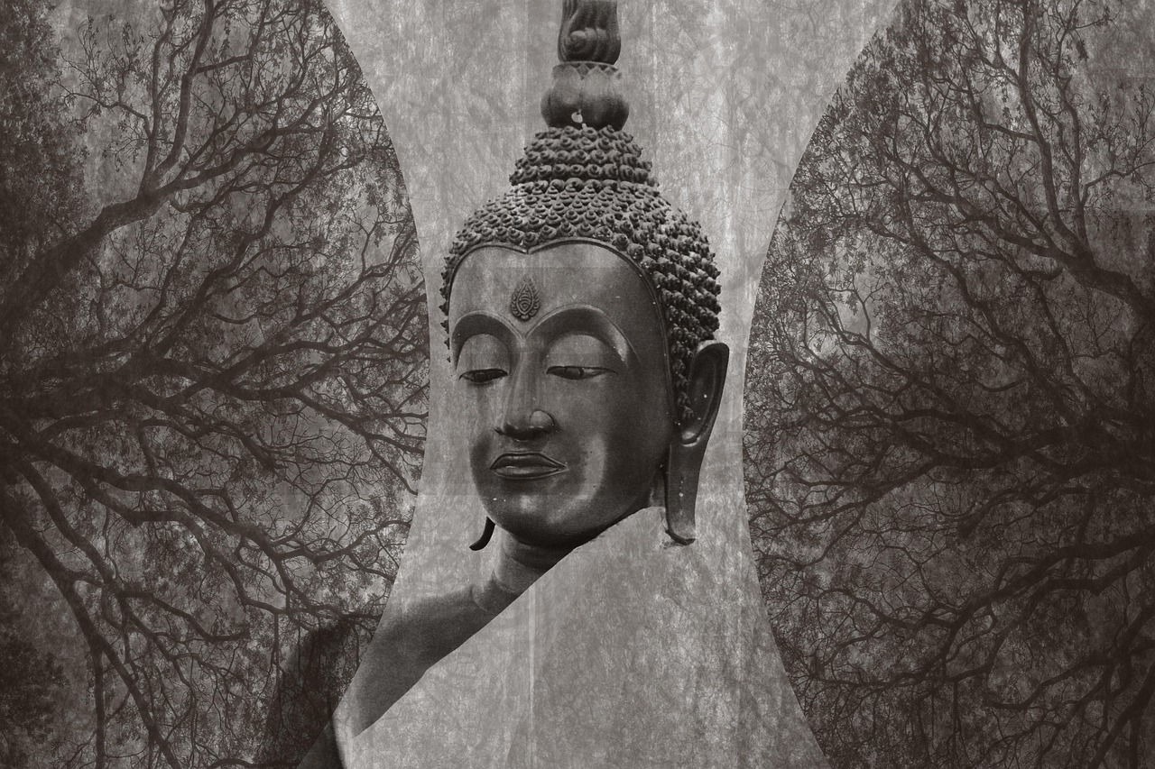 郭娇